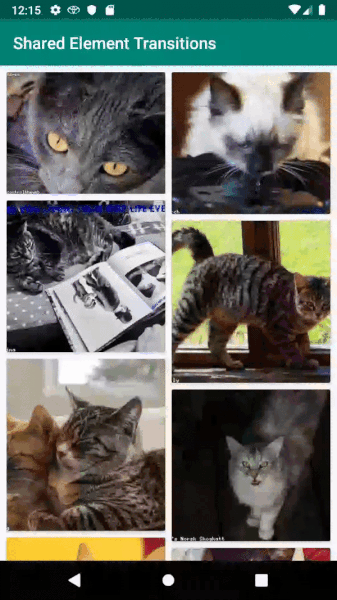 View Pager | Shared Element Transitions in Android Apps