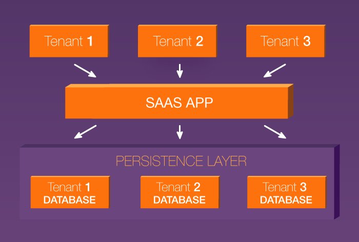 Separate database architecture in a multi-tenant SaaS application