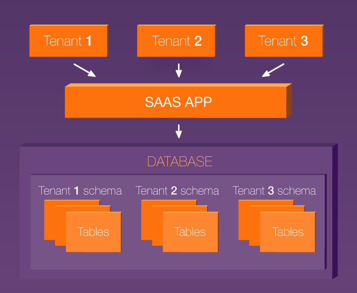 Shared database architecture in a multi-tenant SaaS application