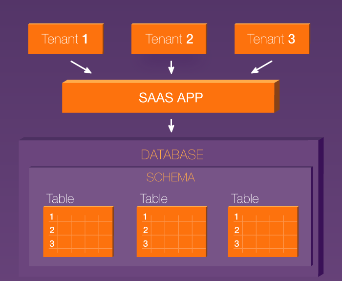 Shared schema architecture in a multi-tenant SaaS application