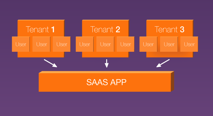 Multi-tenant Software as a Service application